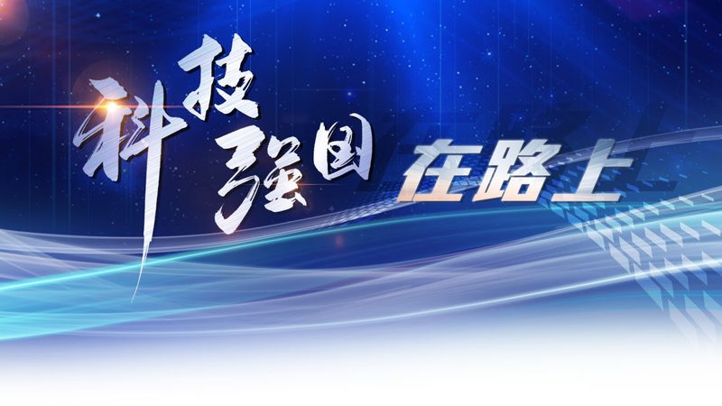 云服务器与物理机：建站选择的深度解析