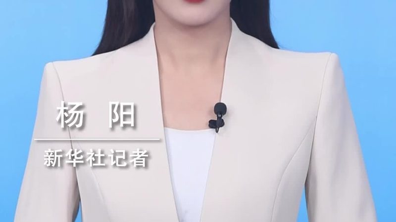 APP定制开发与二次开发：本质区别与适用场景