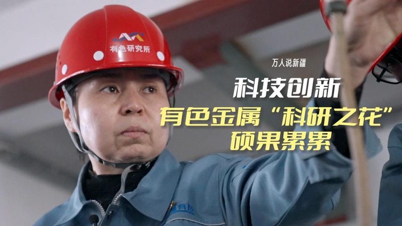 数据仓库：从入门到进阶，解锁企业数据宝藏